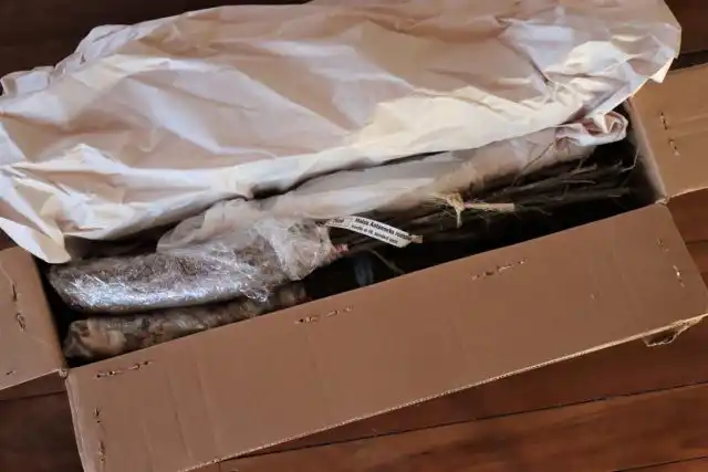 Коллективные заказы — очень удобный вариант покупки черенков