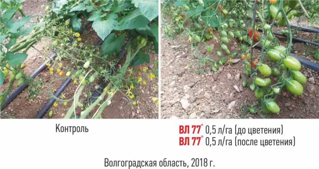 Использование «ВЛ 77»