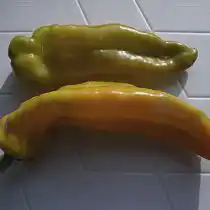 Перец сладкий «Каппи медовый»