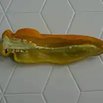 Перец сладкий «Каппи медовый» в разрезе