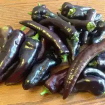 Перец сладкий «Маркони пурпурный»