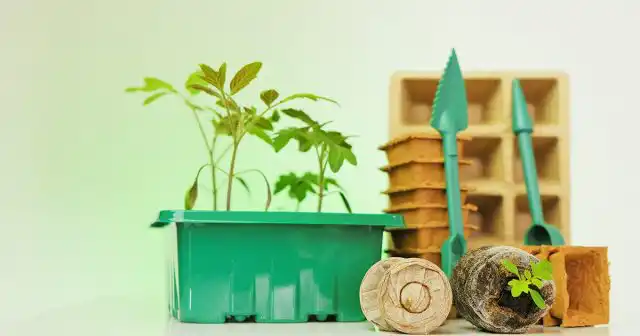 Торфяные таблетки весьма удобны для рассады