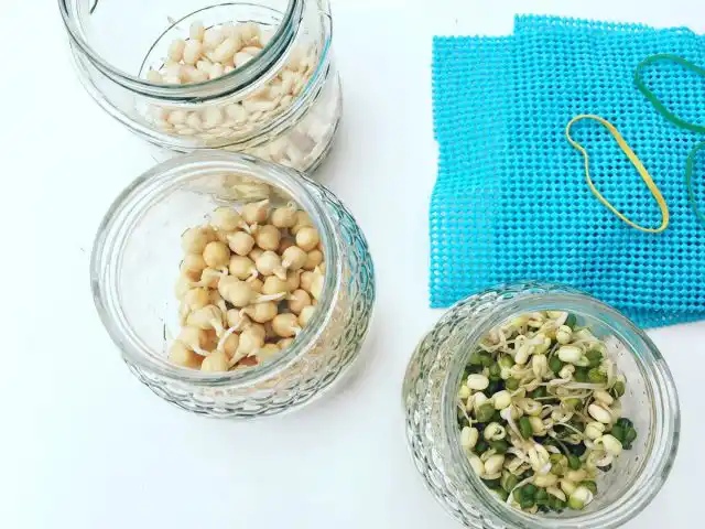 Проростки — один из самых простых продуктов, который можно выращивать в домашних условиях