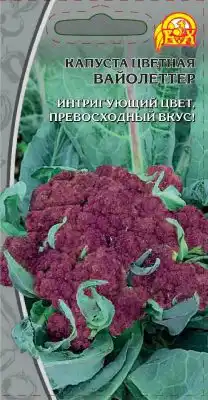 Капуста цветная «Вайолеттер»