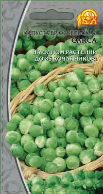 Капуста брюссельская «Сакса»