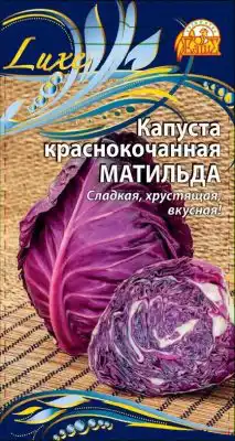 Капуста краснокочанная «Матильда»