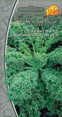 Капуста листовая «Кружевница»