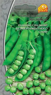 Горох «Миленок»