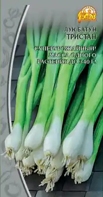 Лук-батун «Тристан»