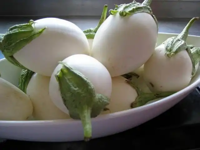 Баклажан «Пинг-Понг»