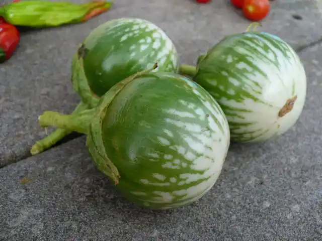 Баклажан «Кермит»