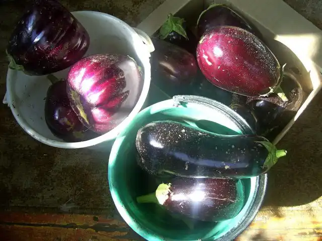 Баклажан «Щелкунчик F1»