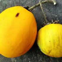 Баклажан «Удмалбед»