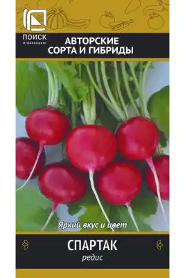 Сорт редиса «Спартак»