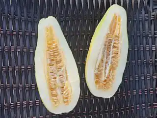 Дыня «Тыдачункуайха» в разрезе