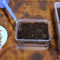 Подготовьте контейнер для посадки земляники