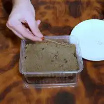 Расположите семена земляники в почве