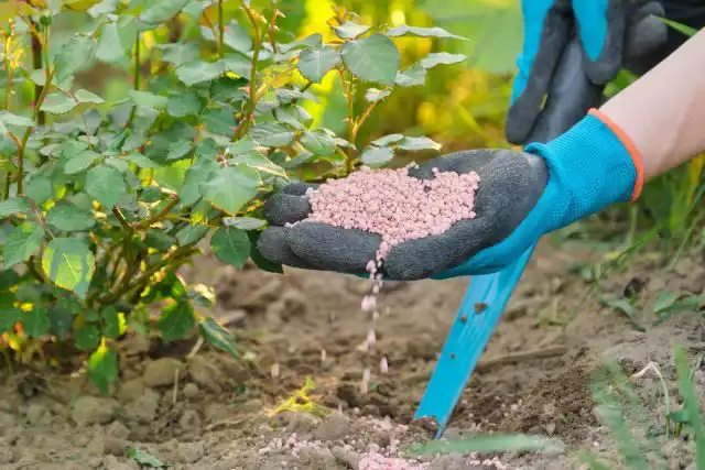 Повне мінеральне добриво, що це