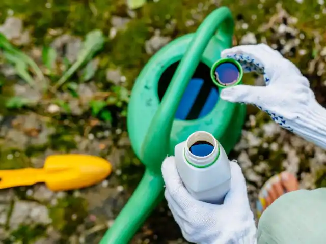 Форма полного минерального удобрения определяет способ внесения