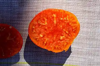 Томат «Честное слово Ливингстона» в разрезе