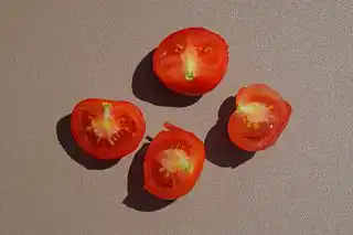 Томат «Хайнц» в разрезе