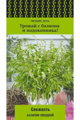 Базилик «Свежесть»