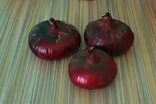 Лук «Ялтинский красный»