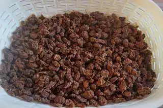 Урожай чуфы