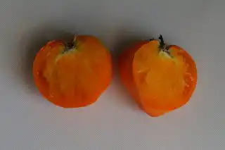 Томат «Сердце Ашхабада» в разрезе