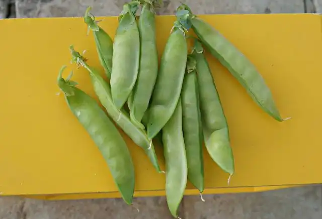 Горох сахарный «Детская сладость»