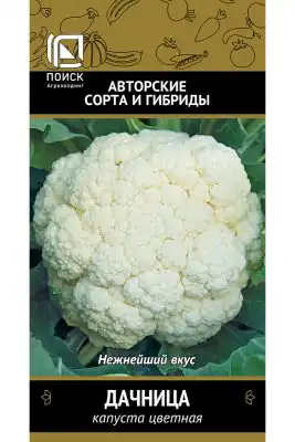 Цветная капуста «Дачница»