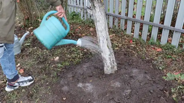 Влагозарядный полив