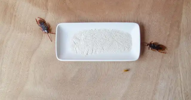 Пищевая приманка для тараканов