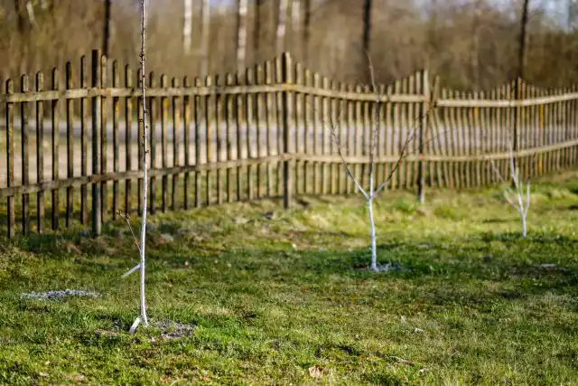 Семечковым необходимо подобрать относительно защищённое от ветра пространство