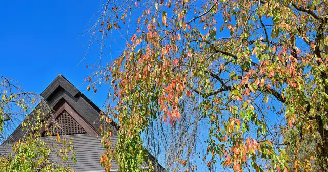 Для работы лучше выбрать погожий денек