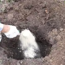 Подготовьте посадочную яму