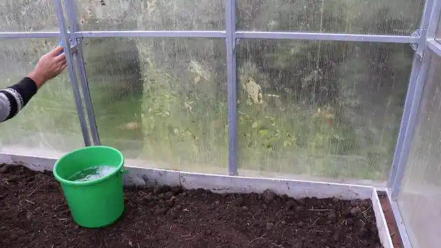 Шаг 3. Очистка теплицы