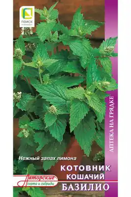 Котовник кошачий «Базилио»