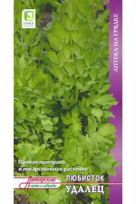 Любисток «Удалец»