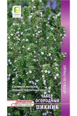 Чабер огородный «Пикник»