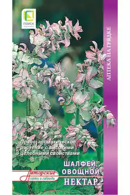 Шалфей овощной «Нектар»