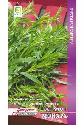 Эстрагон «Монарх»