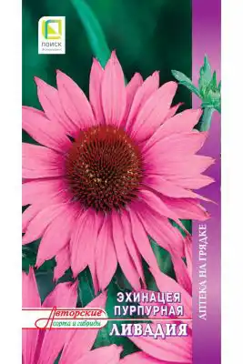 Эхинацея пурпурная «Ливадия»