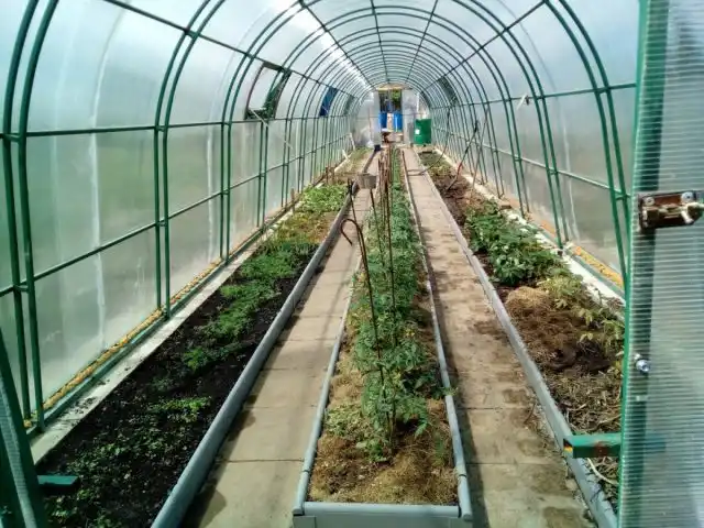 Вариант расположения грядок в теплице