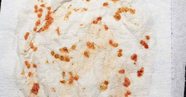 Семена выкладываем на материю для просушки