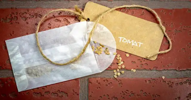 Чтобы не забыть, конверты с семенами лучше подписать