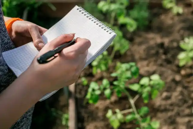 Имея информацию о заморозках и сроках созревания, можно рассчитать, когда начинать сеять овощи для осеннего огорода