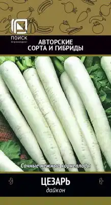 Сорт дайкона «Цезарь»