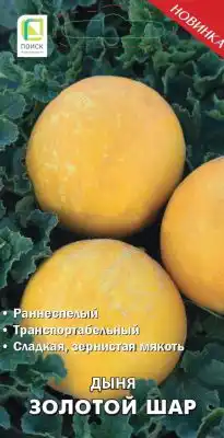 Сорт дыни «Золотой шар»