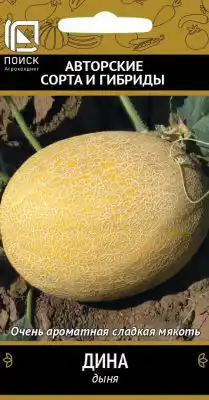 Сорт дыни «Дина»
